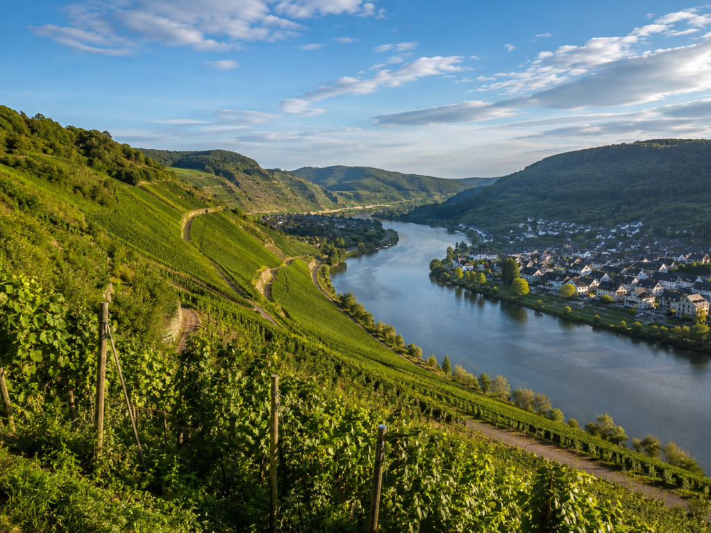 Weinberge der Moselregion